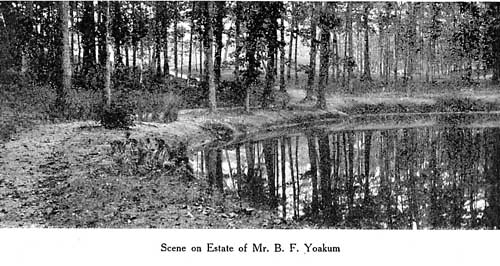 Scene on Estate of Mr. B.F. Yoakum